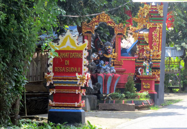 Desa Sudaji: Permata Tersembunyi di Kaki Bukit Buleleng