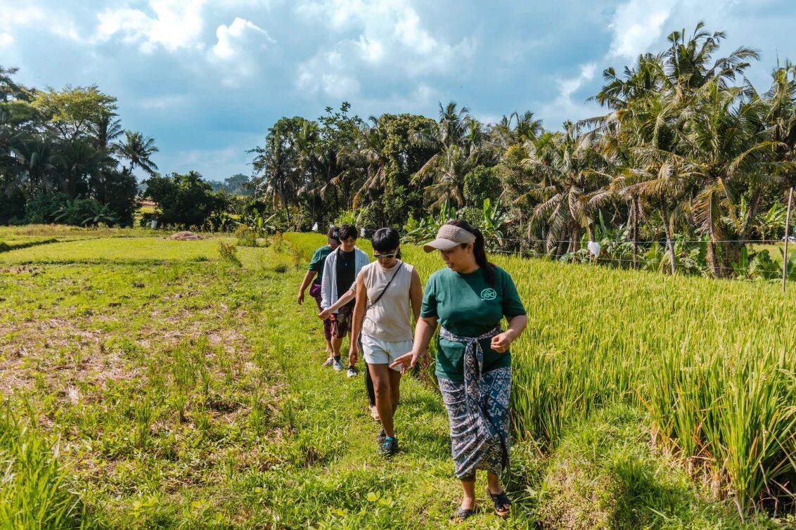 Nyambu Ecotourism Village, Tabanan: Rice-Field Treks, Subak and Old Temples with Village Guides