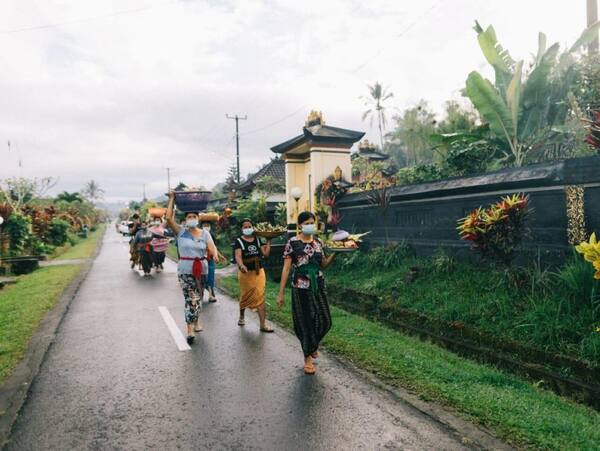 Desa Wisata Pinge, Tabanan: An Old Balinese Village Among the Rice Fields of Marga