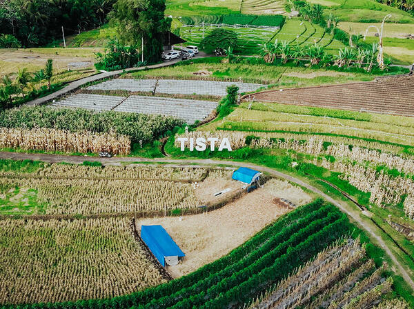 Desa Wisata Tista, Kerambitan: Sawah Sunyi dan Tari Andir Tabanan