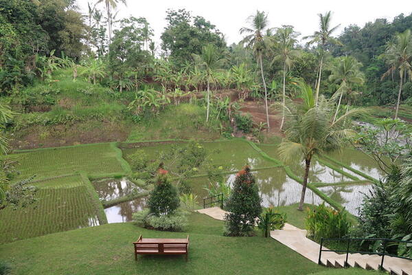 Four Seasons Resort Bali at Sayan: Resor Mewah di Lembah Sungai Ayung, Ubud