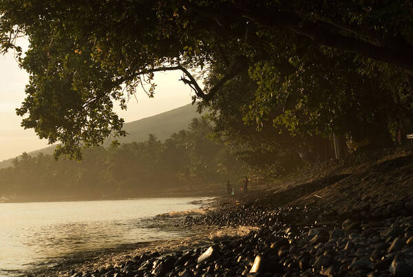 Gaia-Oasis Tejakula: Retret Pantai & Gunung Buleleng dengan 2 Spa dan Kebun Organik