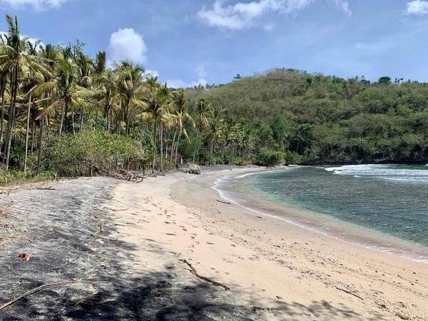 Gamat Bay, Nusa Penida: Snorkeling Jernih Tanpa Keramaian Crystal Bay