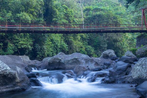 Gelar River Adventure: Rafting Baru di Jembrana Sejak Februari 2026