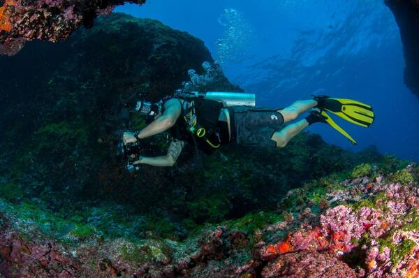 Gili Tepekong & Gili Mimpang, Candidasa: East Bali’s Toughest and Richest Diving