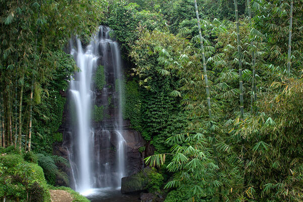 Golden Valley Waterfall Munduk: Tiket, Rute, dan Eco Cafe