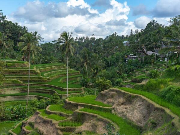 Itinerary Bali 3 Hari 2 Malam 2026: Rute Efisien dari Bandara, Rincian Biaya & Cara Hemat dengan Voucher Hotel