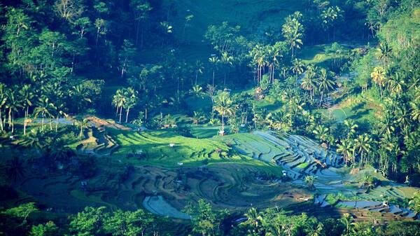 Itinerary Bali 4 Hari untuk Pemula: Rute Hemat, Estimasi Biaya & Transport