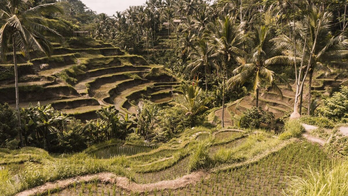 7-Tage-Bali-Route: Ubud–Uluwatu–Nusa Penida + Kosten & Hotelgutscheine