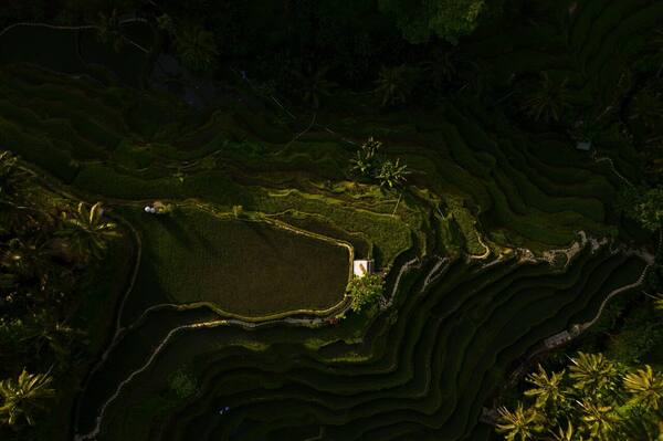 Itinerary Bali 7 Hari: Rute Lengkap Ubud–Uluwatu–Nusa Penida + Estimasi Biaya & Voucher Hotel