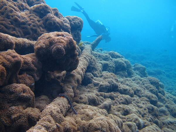Japanese Shipwreck Amed: Snorkeling Bangkai Kapal Karam WWII di Tepi Pantai