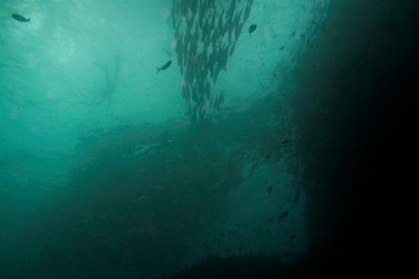 Japanese Shipwreck Amed: Snorkeling Bangkai Kapal Karam WWII di Tepi Pantai