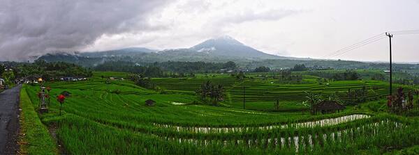 Jatiluwih: UNESCO Subak Rice Terraces in Tabanan