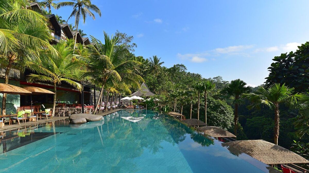 Jungle Fish Ubud: An Infinity Pool Over the Wos Valley and How Its Minimum Spend Works