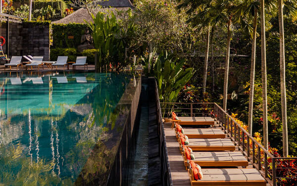 Jungle Fish Ubud: Kolam Infinity di Atas Lembah Wos dan Sistem Minimum Spend-nya