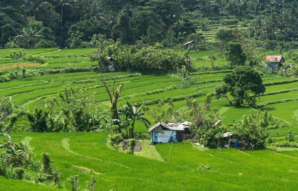 Kapan Waktu Terbaik ke Bali? Panduan Musim, Cuaca, Harga Hotel & Kalender Event 2026