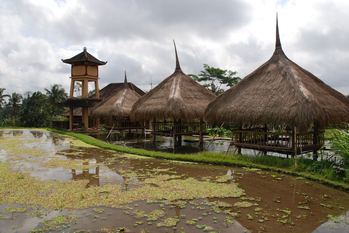Karsa Spa Ubud: Traditional Balinese Massage by the Rice Fields
