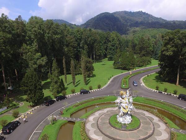 Kebun Raya Bali di Bedugul: Surga Sejuk Penuh Anggrek dan Pohon Raksasa
