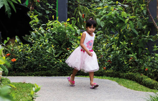 Kemenuh Butterfly Park atau Bali Bird Park? Pilih Sesuai Waktu