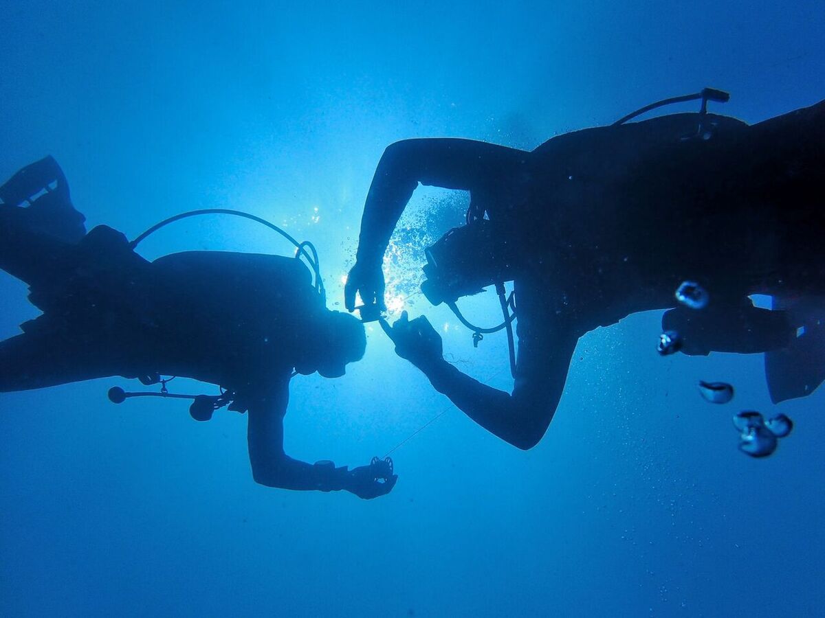Tauchschein auf Bali 2026: Open-Water-Kurse, Kosten und Tauchzentren
