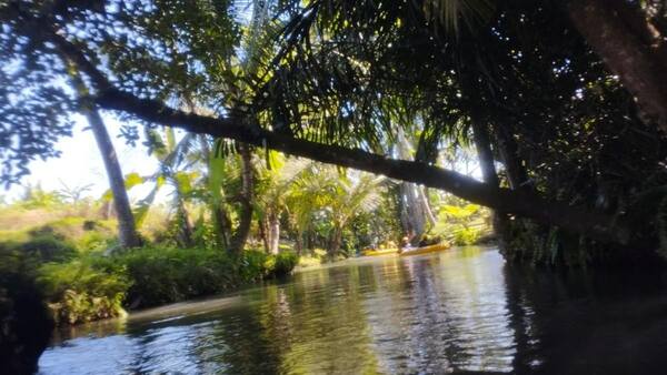 Lazy River Penarungan: Susur Saluran Subak Mengwi, Tiket Rp35 Ribu