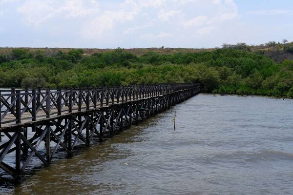 Liburan Bali Ramah Difabel & Lansia 2026: Tempat Wisata Aksesibel, Tips Kursi Roda & Cara Memilih Hotel