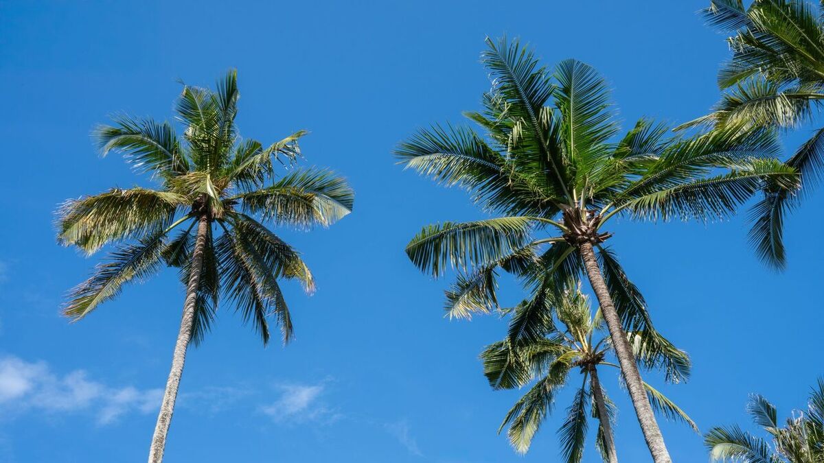 Bali en temporada de lluvias 2026: 12 planes bajo techo y ahorro en hoteles