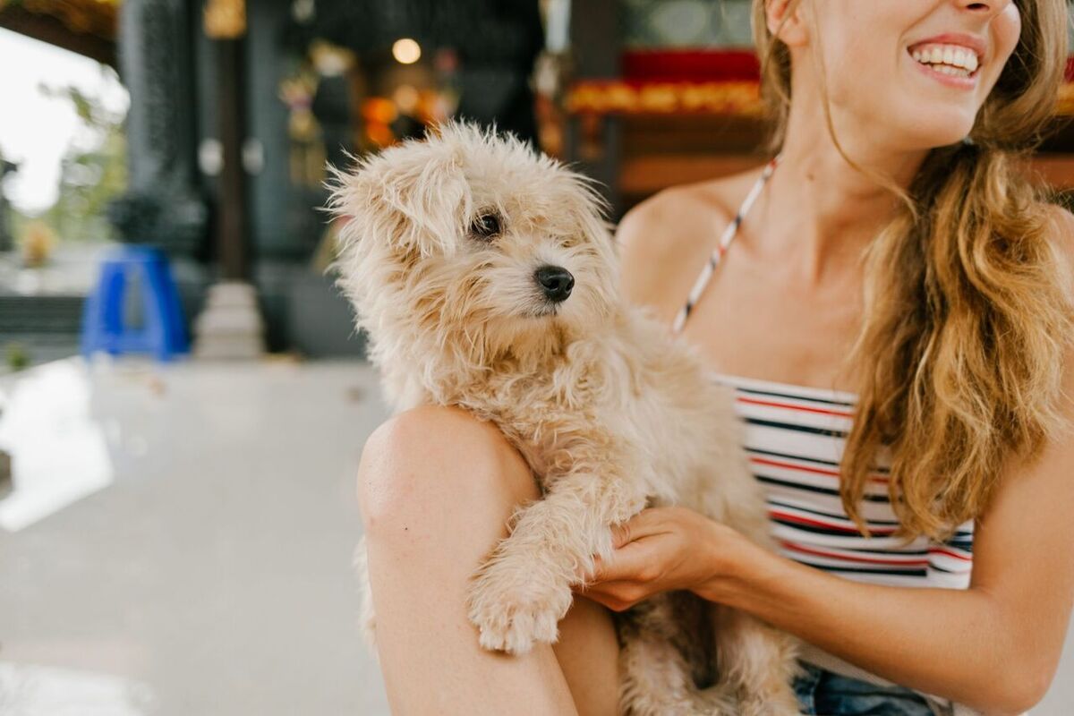 ¿Puedo viajar a Bali con mi perro o gato en 2026? Normas y prohibición