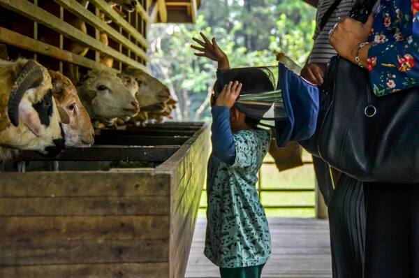 Liburan Keluarga ke Bali: Kawasan Ramah Anak, Aktivitas Seru & Cara Hemat Voucher Hotel