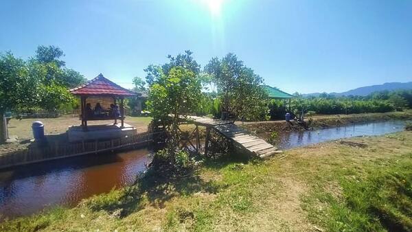 Mangrove Budeng Jembrana: Warung Kepiting, Tracking & Pasang Surut