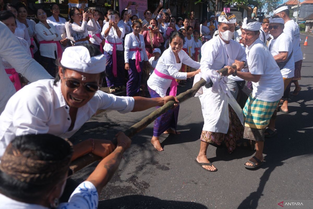 Mbed-Mbedan Semate 2026: Bali’s Post-Nyepi Tug-of-War in Mengwi