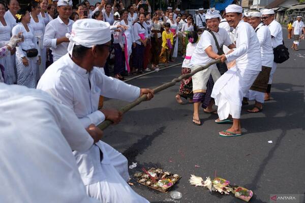 Mbed-Mbedan Semate 2026: Tarik-Menarik Bun Kalot Sehari Setelah Nyepi di Mengwi