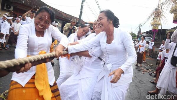 Mbed-Mbedan Semate 2026: Tarik-Menarik Bun Kalot Sehari Setelah Nyepi di Mengwi