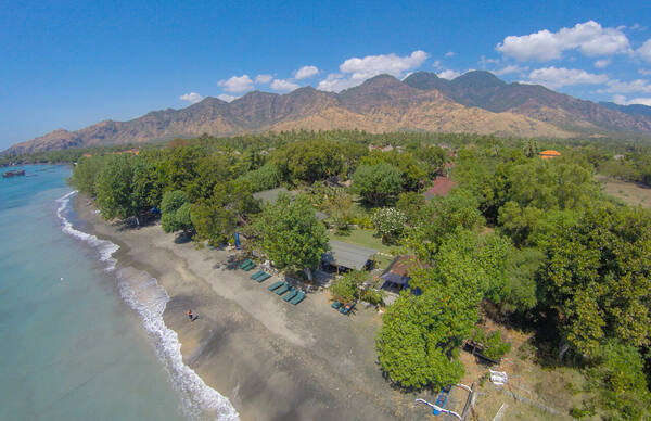 Melepas Tukik di Reef Seen Pemuteran, Buleleng
