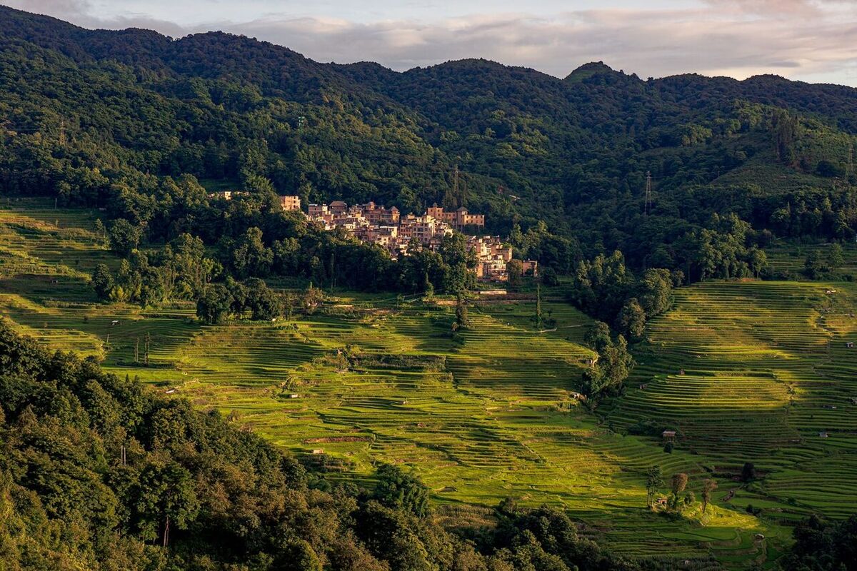 Ubud, Sidemen oder Munduk? Naturbasis auf Bali 2026 wählen