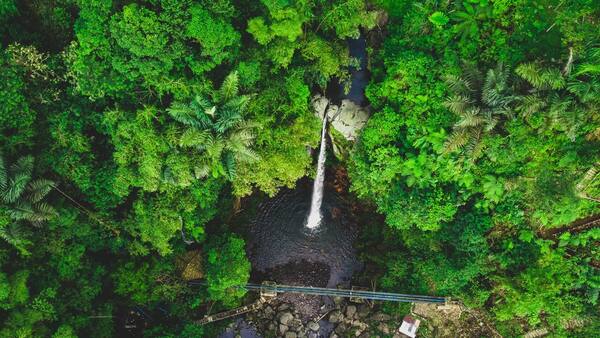Menginap di Ubud, Sidemen, atau Munduk? Panduan Memilih Basecamp Alam di Bali 2026