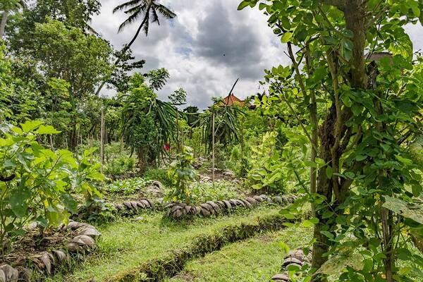 Moksa Ubud: Restoran Plant-based dengan Kebun Permakultur Sendiri di Sayan