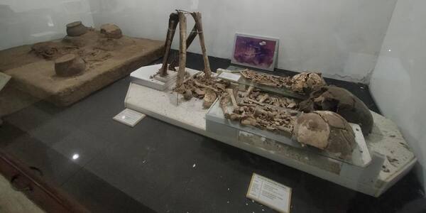 Museum Manusia Purba Gilimanuk: Perhentian Gratis yang Terlewat di Jembrana