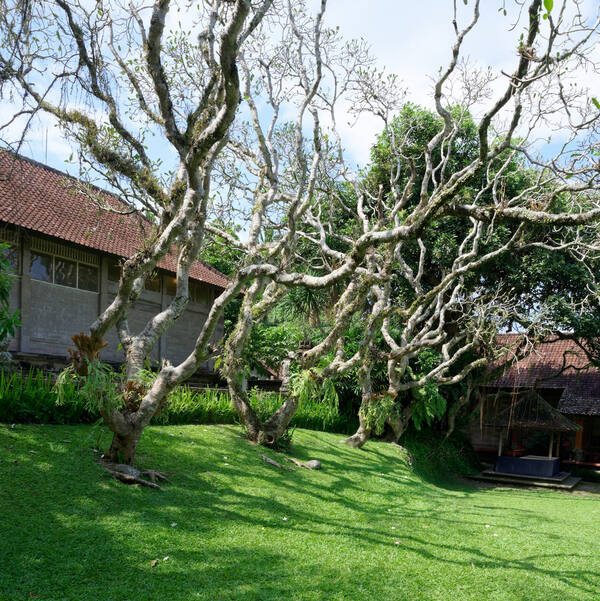 Museum Puri Lukisan: Menyusuri Museum Seni Tertua di Ubud