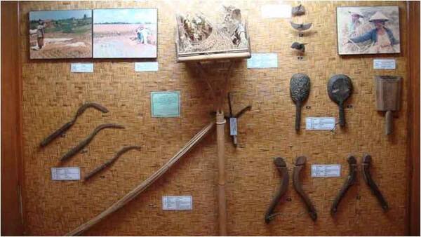 Museum Subak Tabanan: Kunci Memahami Sawah Bali yang Jarang Dikunjungi