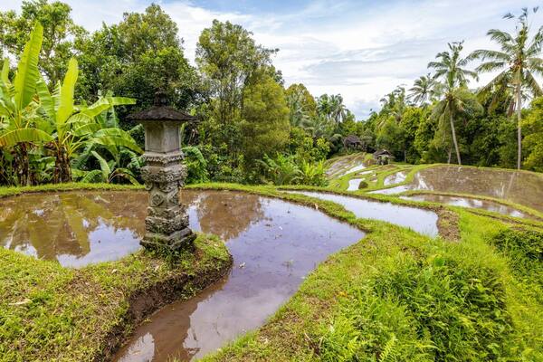 Musim Ramai vs Musim Sepi di Bali: Kapan Harga Hotel Paling Murah (Kalender 2026)