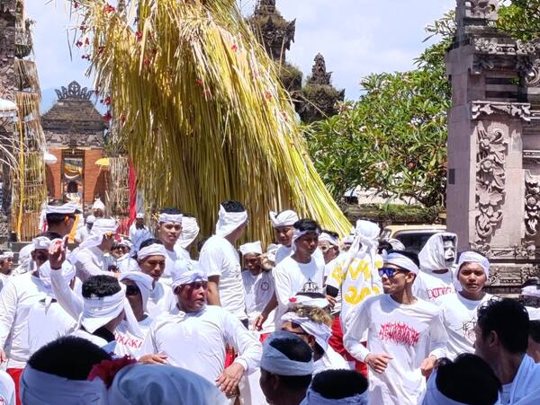 Ngusaba Bukakak Desa Giri Emas: Upacara Syukur Panen Dua Tahunan di Buleleng
