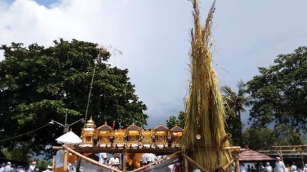 Ngusaba Bukakak Desa Giri Emas: Upacara Syukur Panen Dua Tahunan di Buleleng