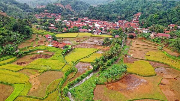 Panduan Desa Adat & Desa Wisata Bali 2026: Penglipuran, Tenganan, Bayung Gede, Sidemen & Cara Menginap Hemat