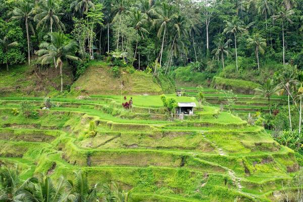 Panduan Foto Prewedding & Spot Fotografi di Bali 2026: Lokasi Nyata, Izin, Kisaran Biaya Fotografer & Jam Terbaik