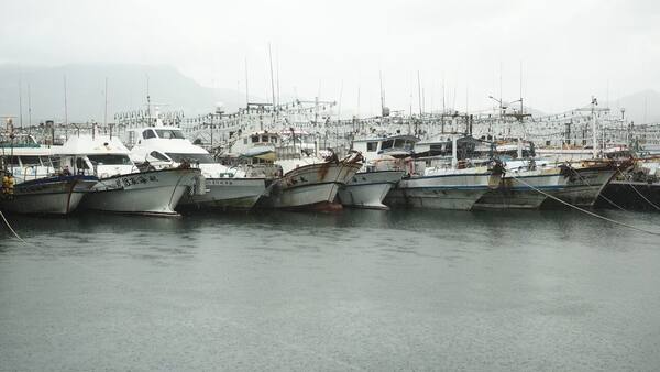 Panduan Memancing & Fishing Charter di Bali 2026
