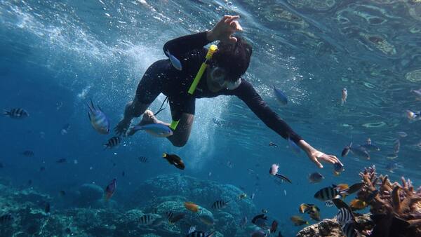 Panduan Snorkeling & Diving di Bali: Spot Terbaik, Biaya & Tips Pemula