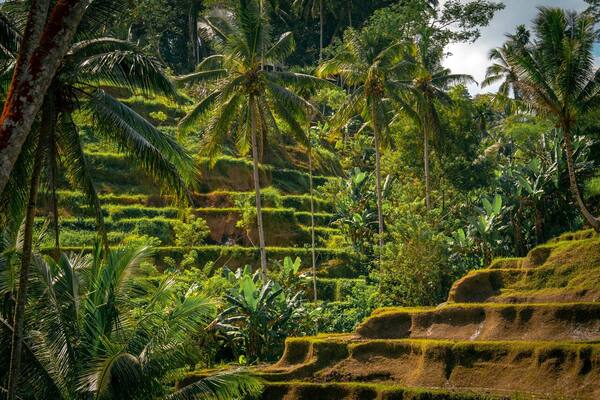 Panduan Vila & Hotel Berkolam Pribadi (Private Pool) di Bali 2026: Kawasan, Kisaran Harga & Cara Hemat Voucher