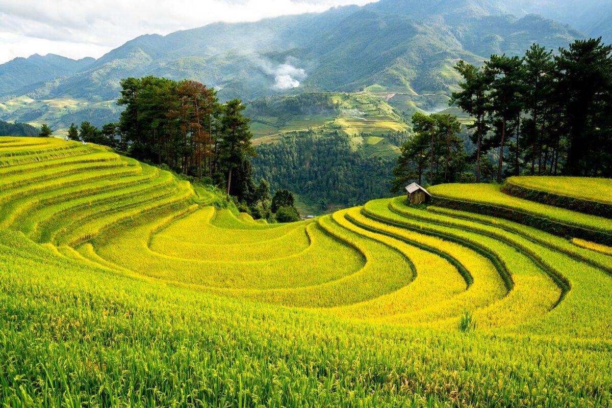 North Badung Travel Guide 2026: Petang, Pelaga & Plaga — Route, Waterfalls, the Tallest Bridge & Hotel Voucher Savings