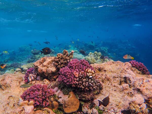 Panduan Wisata Bali Ramah Lingkungan 2026: Kurangi Plastik, Isi Ulang Air, Tur Bertanggung Jawab & Penginapan Eco-Friendly